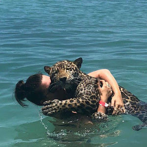 Meet your Posher, Rudy